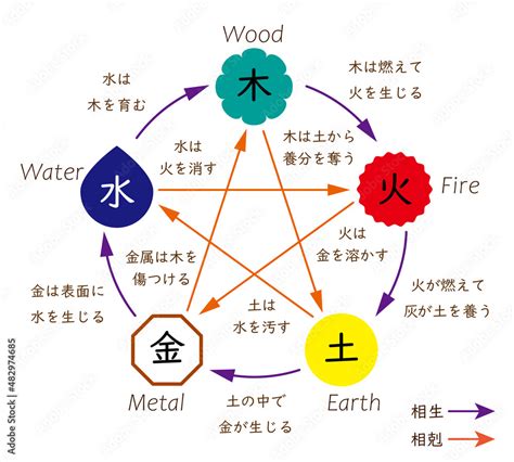 五行健康躁|五行説の概要と人体との関係 